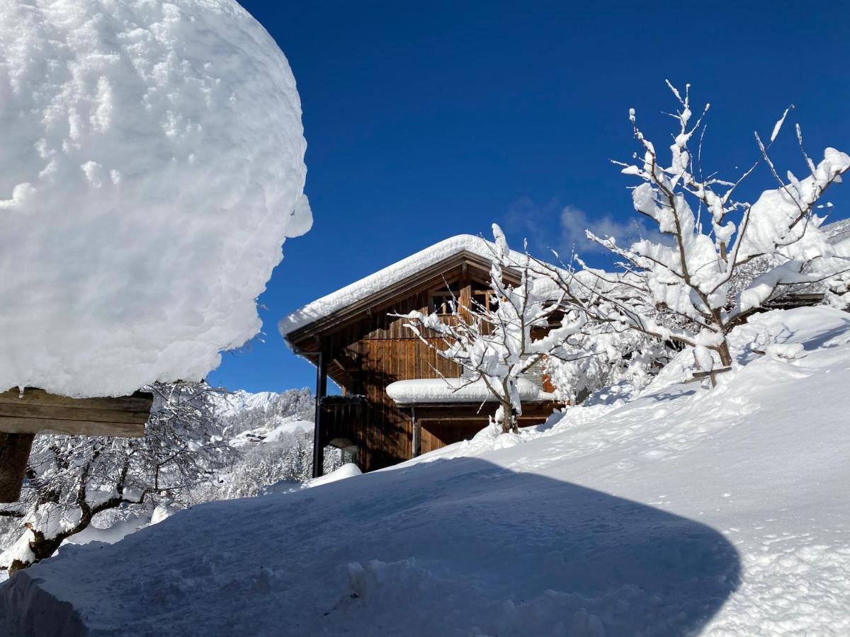 Chalet Christl Panorama Appartements Schruns Eksteriør billede